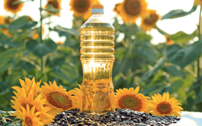 Straight from the Source: Bridge Suisse, Your Direct Supplier of Sunflower Oil